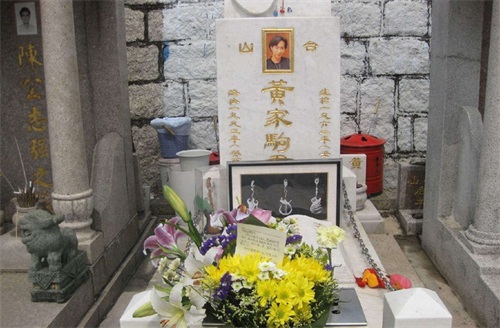 十张照片讲述黄家驹：图九和弟弟家强幼照，图十刘德华参加其葬礼