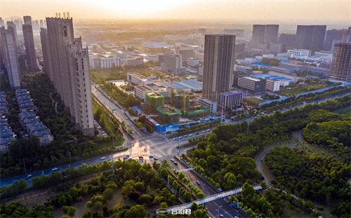 合肥四季花海，才是正版的绿轴公园