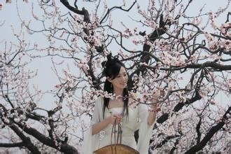 她是吴彦祖深爱的“虞姬”，《芈月传》的魏美人，真实纯美