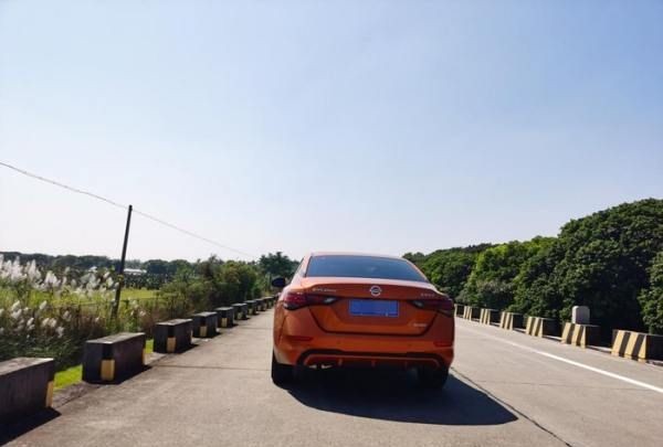 汉中网红芦苇丛在哪个位置,蒹葭中追求者是这样追寻伊人的图8