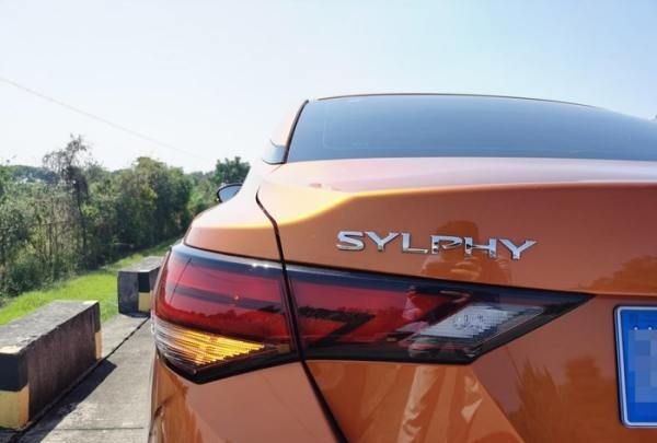 汉中网红芦苇丛在哪个位置,蒹葭中追求者是这样追寻伊人的图10