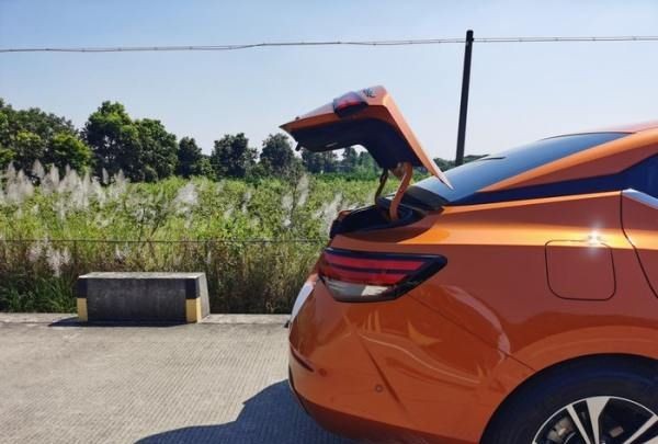 汉中网红芦苇丛在哪个位置,蒹葭中追求者是这样追寻伊人的图14