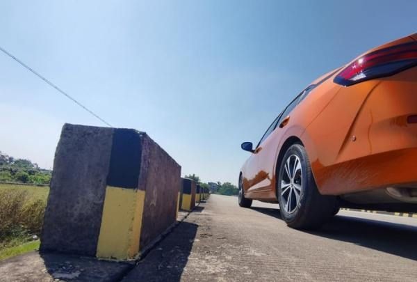 汉中网红芦苇丛在哪个位置,蒹葭中追求者是这样追寻伊人的图9