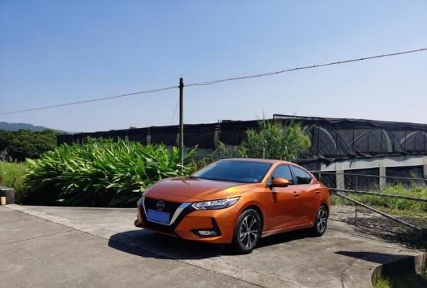 汉中网红芦苇丛在哪个位置,蒹葭中追求者是这样追寻伊人的图2