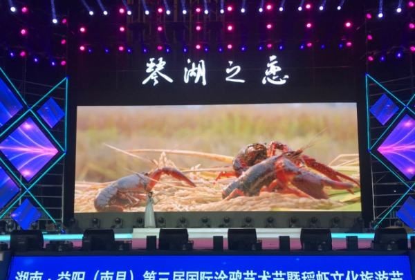 汉中网红芦苇丛在哪个位置,蒹葭中追求者是这样追寻伊人的图25