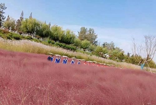 蒹葭中追求者是这样追寻伊人的