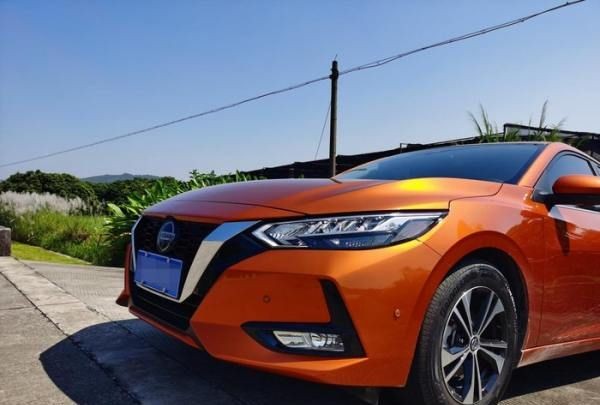 汉中网红芦苇丛在哪个位置,蒹葭中追求者是这样追寻伊人的图5