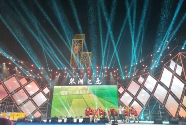 汉中网红芦苇丛在哪个位置,蒹葭中追求者是这样追寻伊人的图27