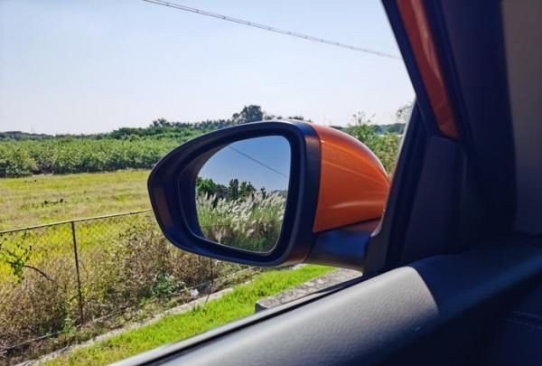 汉中网红芦苇丛在哪个位置,蒹葭中追求者是这样追寻伊人的图13