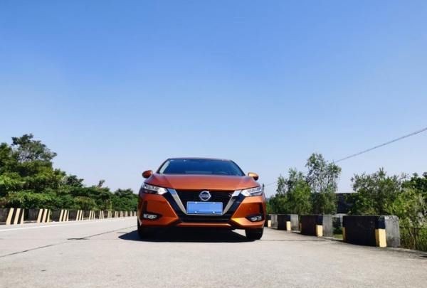 汉中网红芦苇丛在哪个位置,蒹葭中追求者是这样追寻伊人的图3