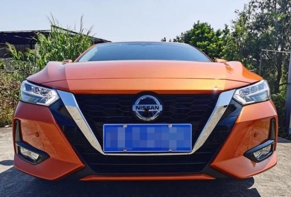 汉中网红芦苇丛在哪个位置,蒹葭中追求者是这样追寻伊人的图4