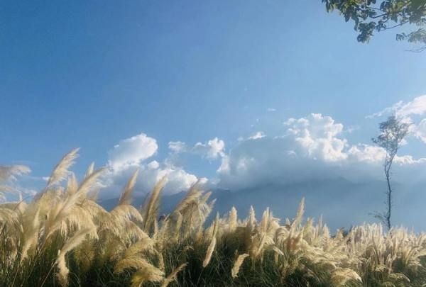 汉中网红芦苇丛在哪个位置,蒹葭中追求者是这样追寻伊人的图20