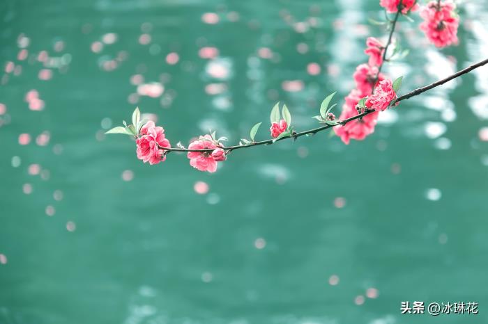 写给前妻的挽回信（写给前妻的一封信）