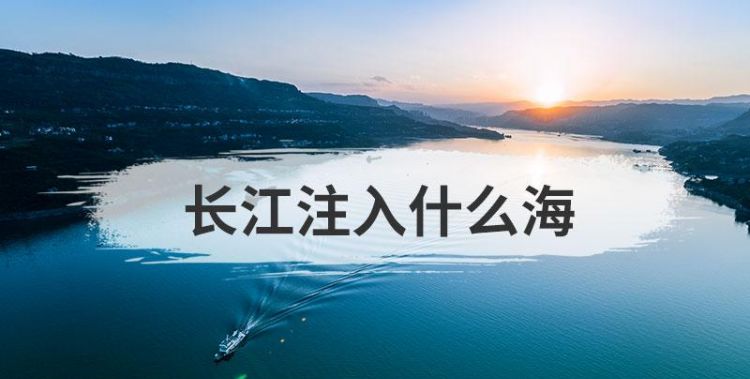 金沙最终注入什么海