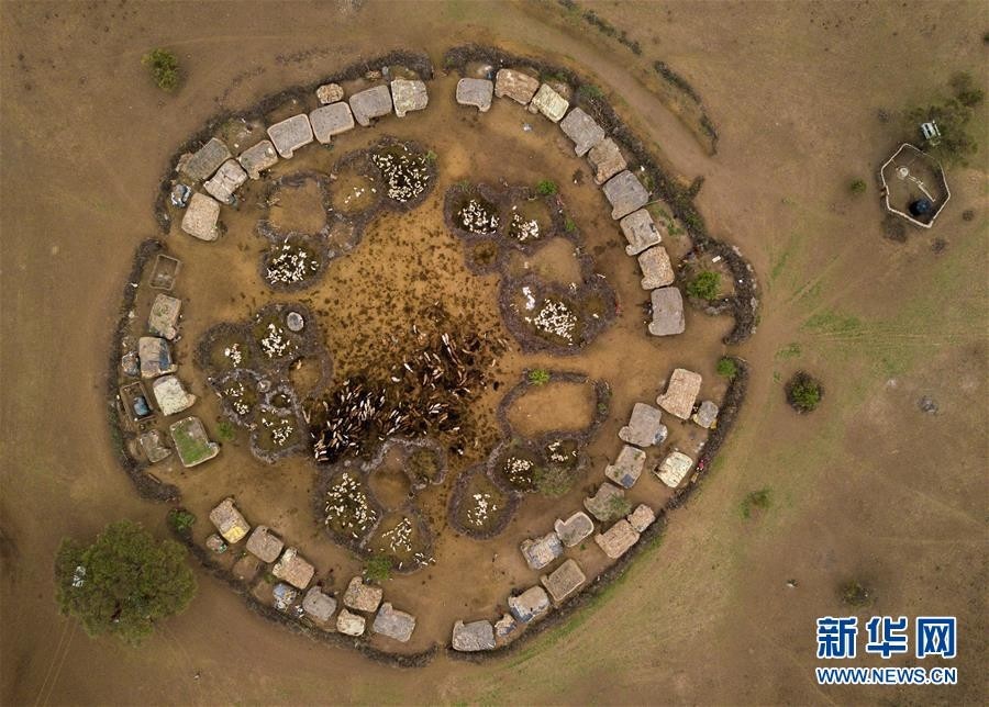 探访马赛族村落