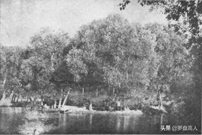 新疆老照片:1930年代的迪化(今乌鲁木齐)的景象