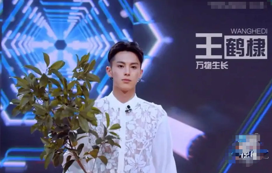 王鹤棣个人资料简介及家世（“脸蛋天才”王鹤棣：19岁让韩国机场瘫痪，他究竟能有多帅？）