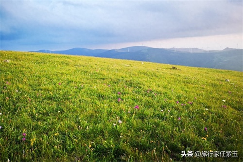 北京周边自驾，海拔1800米高空草原，承德京北第一天路风景像瑞士