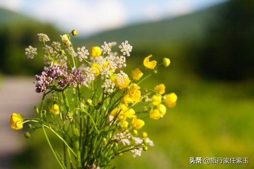 北京周边自驾，海拔1800米高空草原，承德京北第一天路风景像瑞士