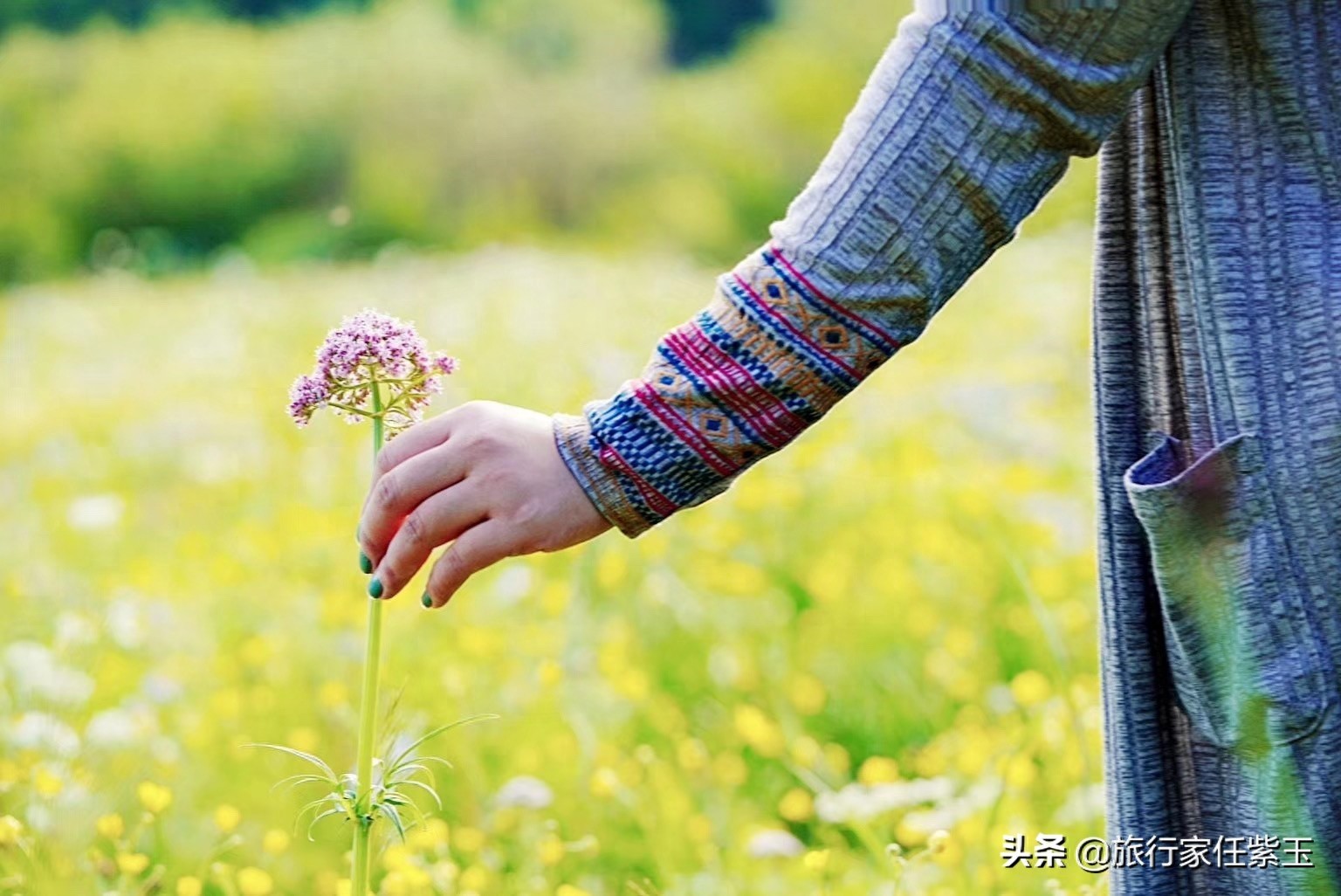 北京周边自驾，海拔1800米高空草原，承德京北第一天路风景像瑞士