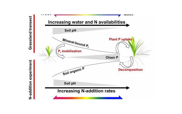 网恋会有真感情吗？网恋会有真爱吗？