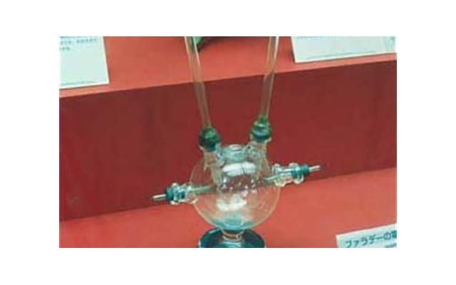 包粽子，用“圆粒”还是“长粒”糯米？别用错了，口感区别很大