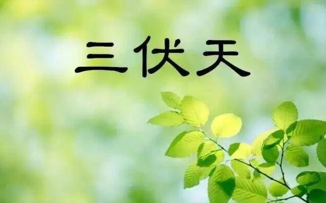 生活三伏贴有什么功效?贴三伏贴有什么注意事项?  1