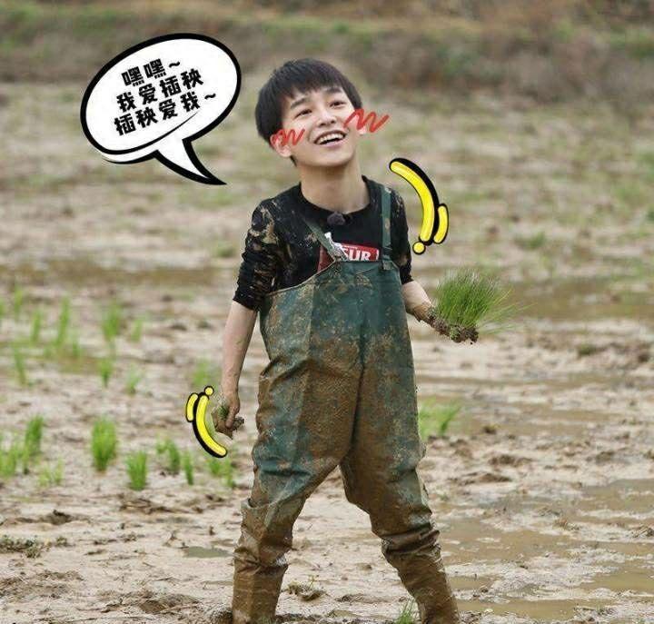 《向往的生活》第二季中新面孔“彭彭”是如何 作为常驻嘉宾的呢？