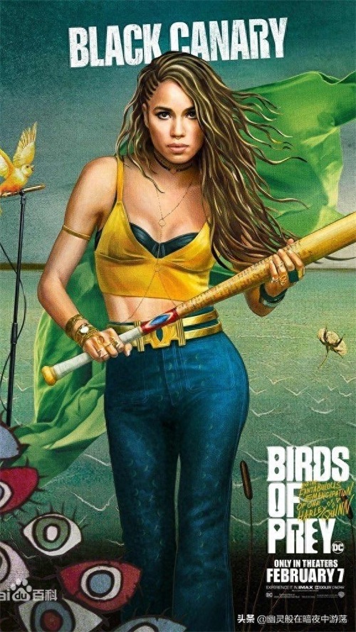 永远的哈莉·奎因，手机壁纸推荐——哈莉·奎因：猛禽小队