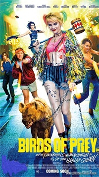 永远的哈莉·奎因，手机壁纸推荐——哈莉·奎因：猛禽小队