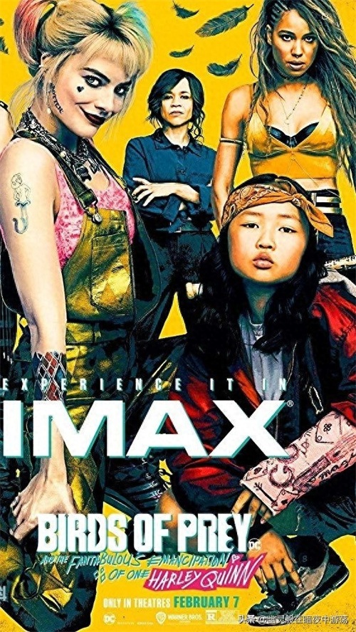 永远的哈莉·奎因，手机壁纸推荐——哈莉·奎因：猛禽小队