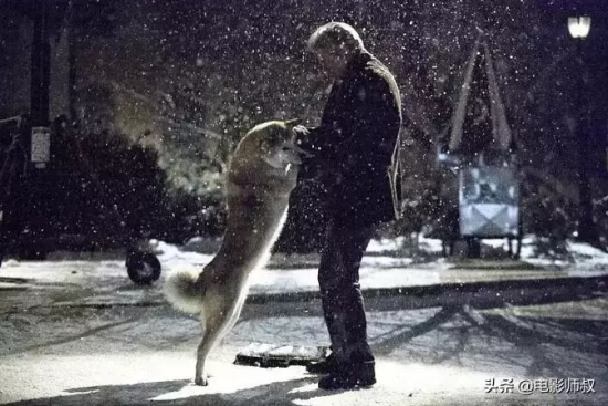 催人泪下的电影有哪些(盘点12部把人哭成狗的催泪电影)