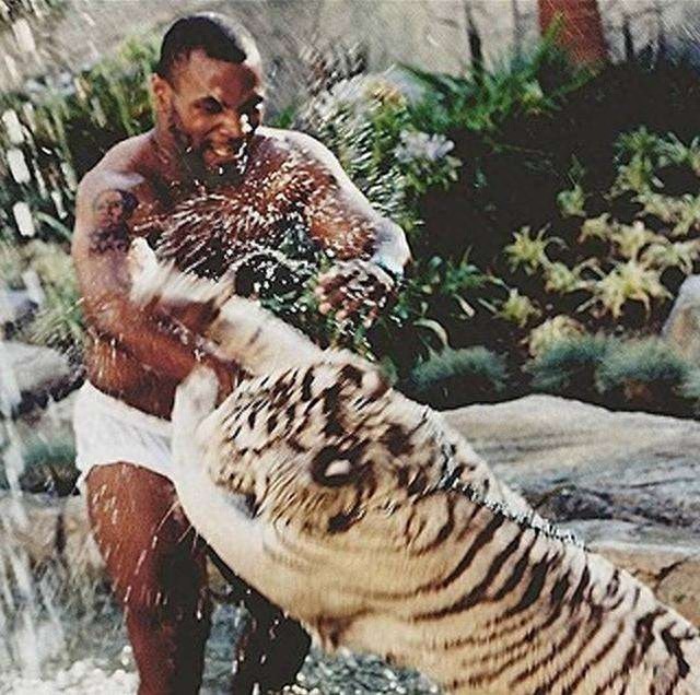 一代传奇拳王迈克·泰森