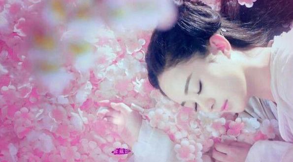 还珠格格收视率依然高（还珠格格收视率亚洲第一保持至今）(12)