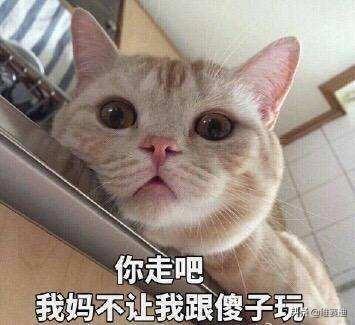 十部必看的电影指环王（最佳电影中的最佳电影）(18)