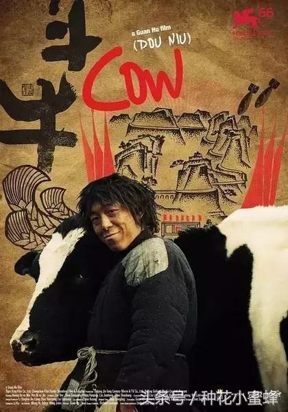 黄渤十部经典电影（黄渤8部冷门但经典的影剧）(16)